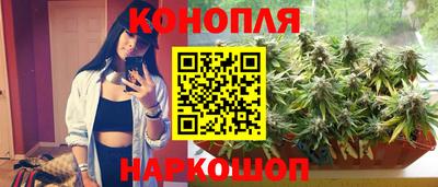 бошки Донецк
