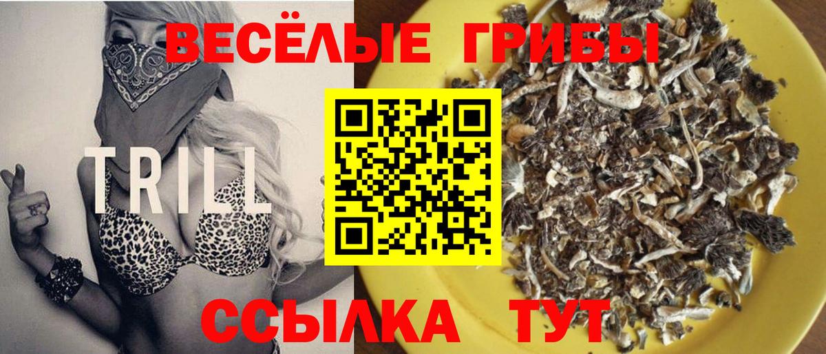 Галлюциногенные грибы Psilocybine cubensis  цена   Медногорск  Вход с VPN 