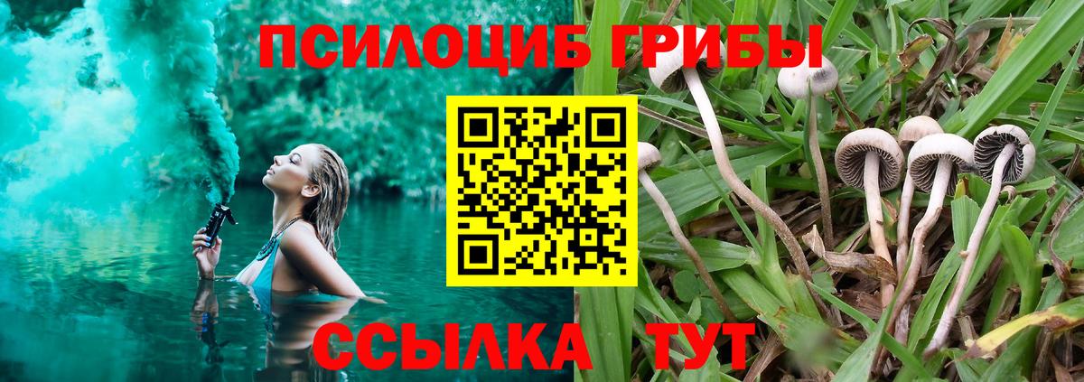 Псилоцибиновые грибы мицелий Медногорск